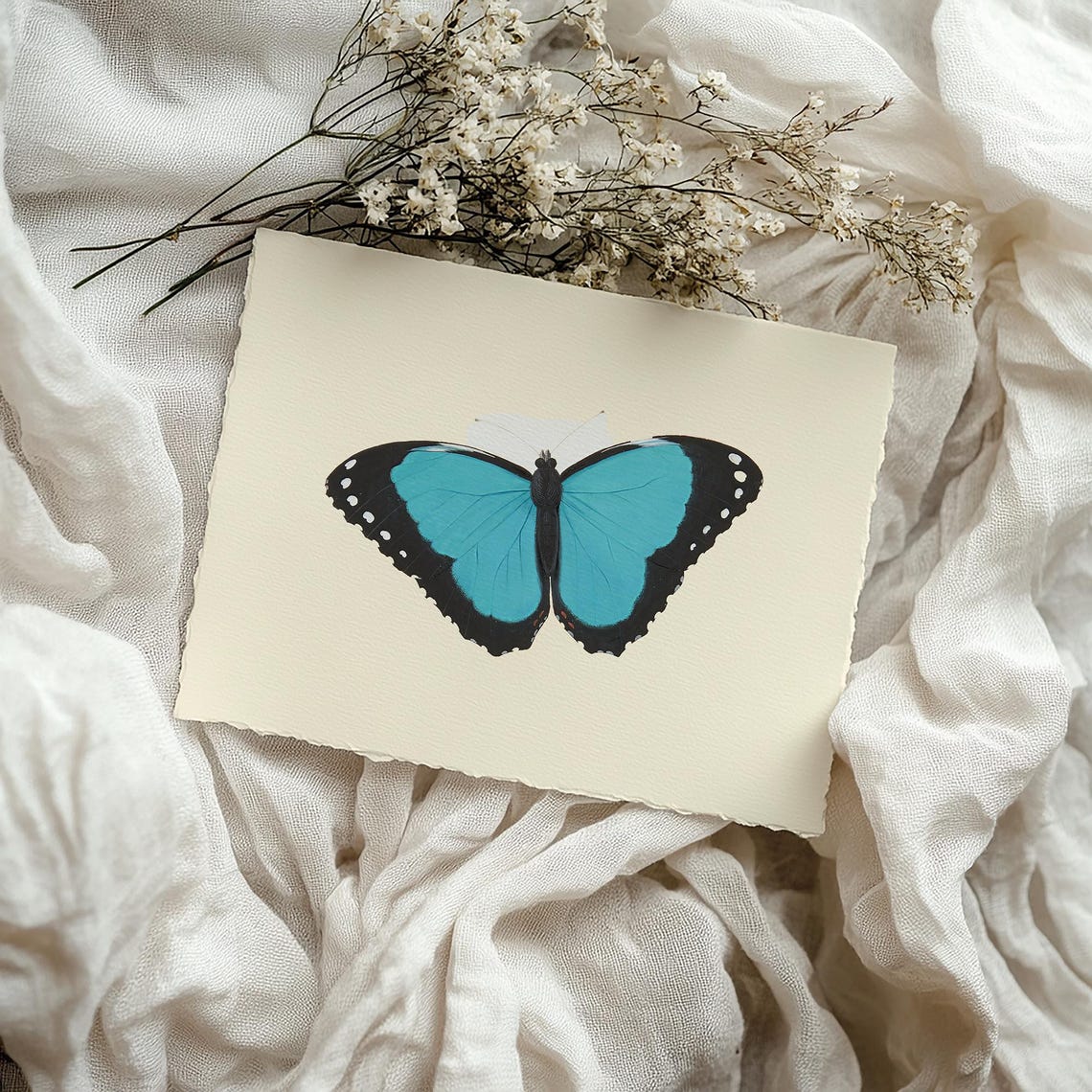 Blue Morpho Butterfly Specimen Cream Vintage Nature Art Poster - Image 3