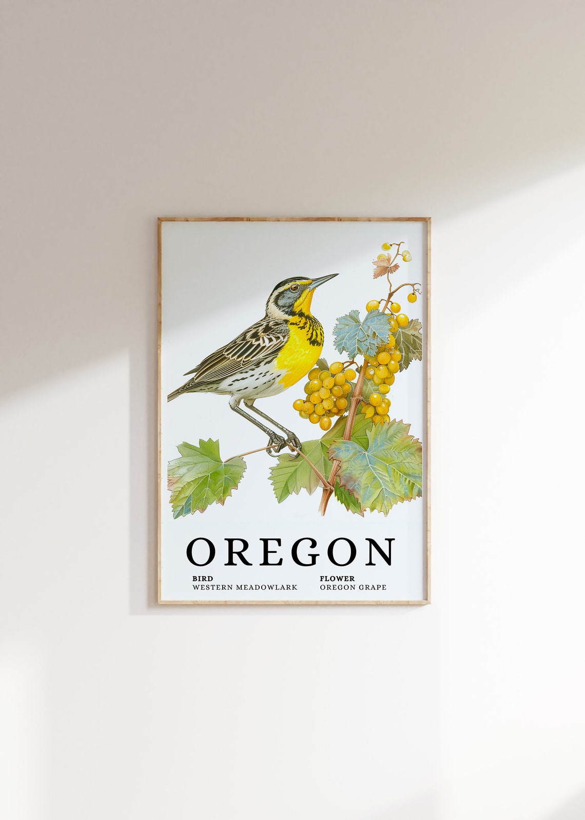 Oregon Western Meadowlark Oregon Grape Bird and Flower Art Print
