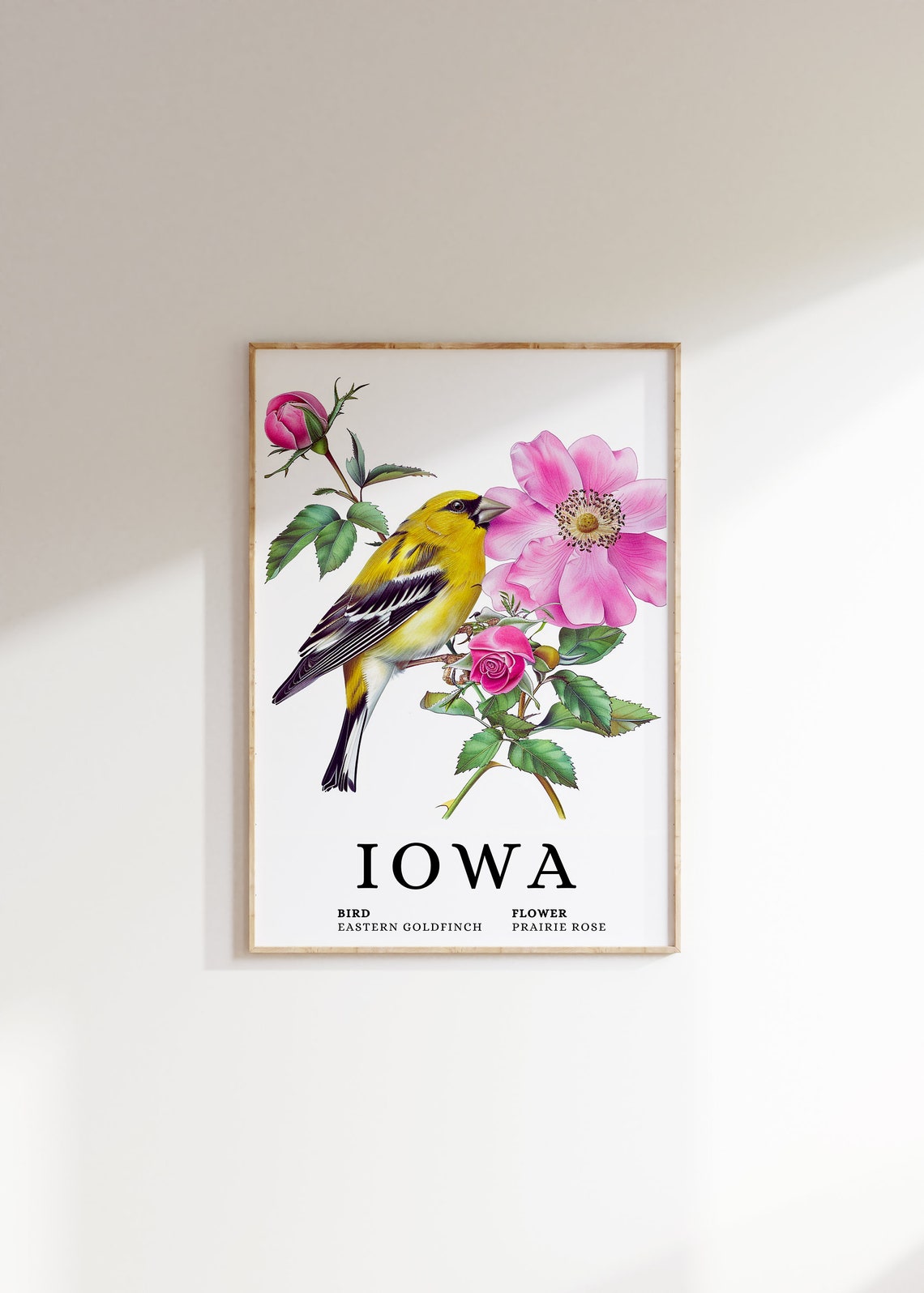 Iowa Eastern Goldfinch State Bird And Prairie Rose Art Print Goldfinch Bird Prairie Rose Flower Art Iowa State Art Iowa Wall Art Print
