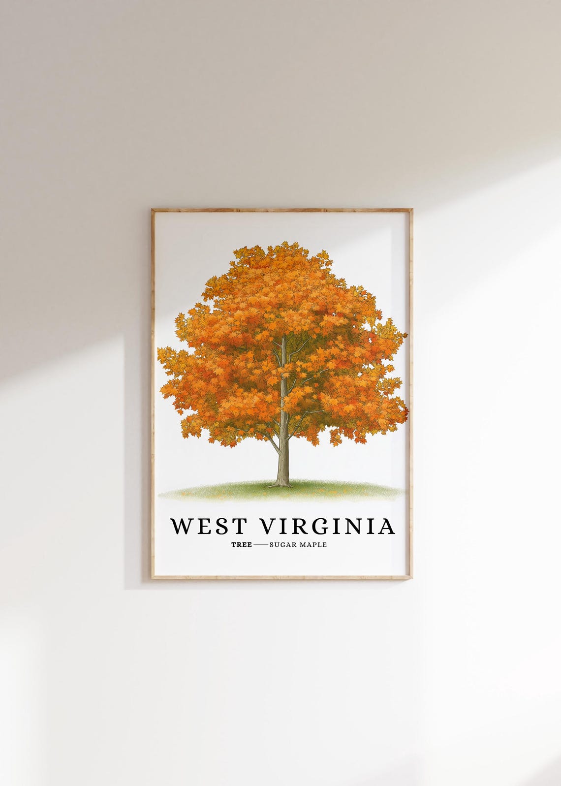 West Virginia Sugar Maple Fall Foliage Botanical State Tree Poster