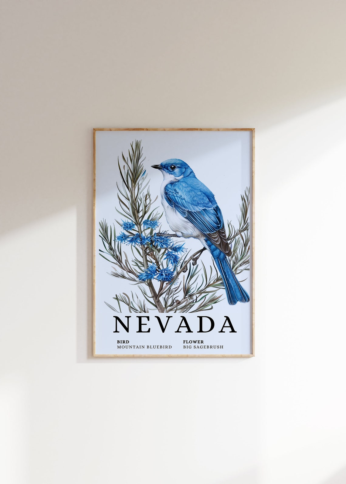 Nevada Mountain Bluebird Big Sagebrush Bird and Flower Art Print
