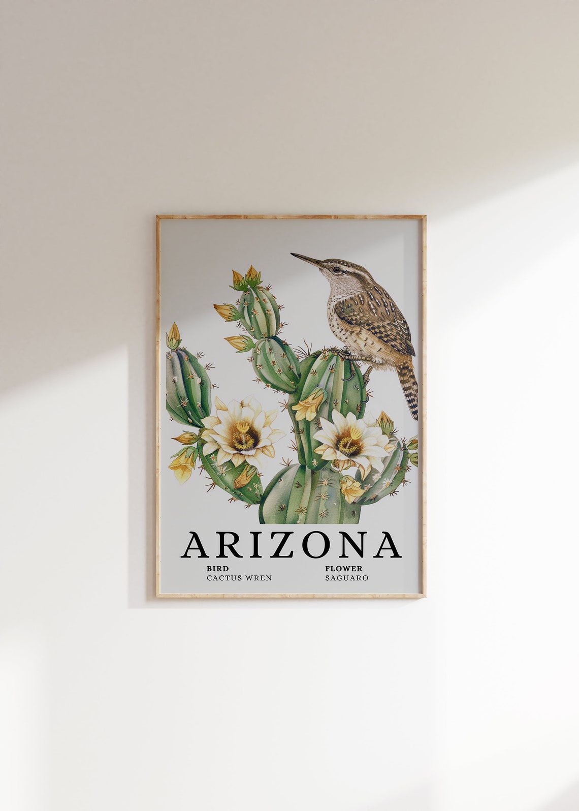 Arizona Cactus Wren Saguaro Bird and Flower Botanical Art Print