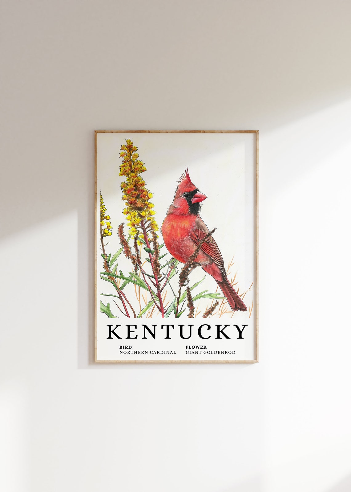 Kentucky Northern Cardinal With Giant Goldenrod Botanical Art Print