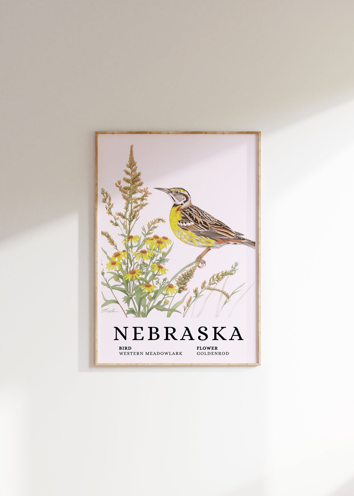 Nebraska Western Meadowlark Goldenrod Bird and Flower Art Print