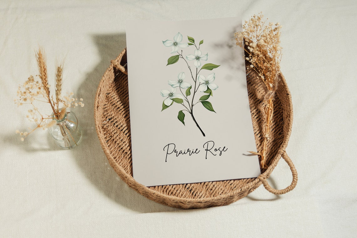 Prairie Rose Botanical Watercolor State Flower Minimalist Art Print - Image 3