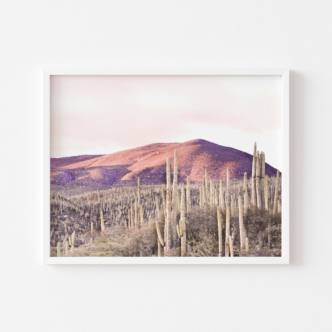 Blush Pink Desert Saguaro Cactus Sunset Mountain Landscape Wall Poster