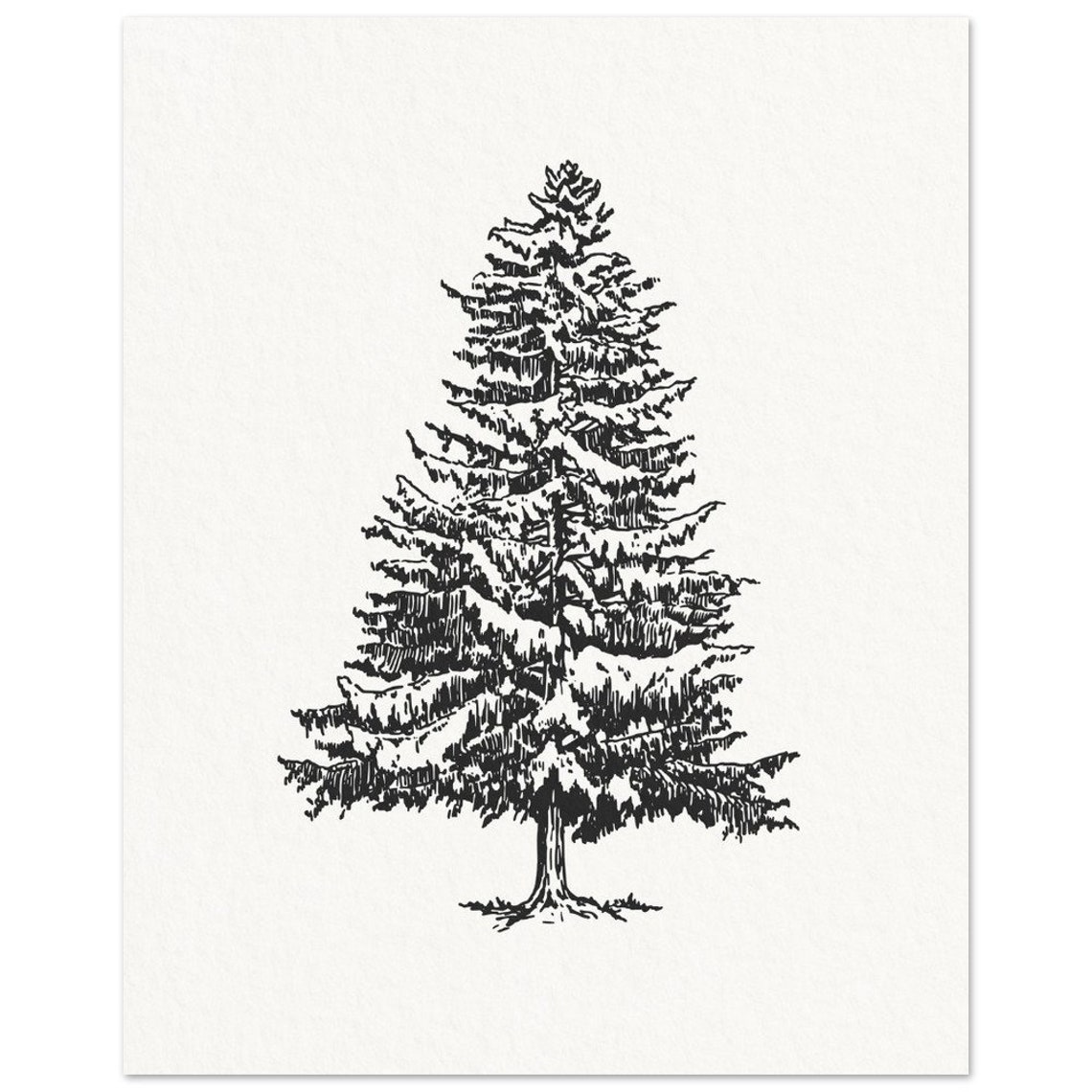 Minimalist Pine Tree Ink Sketch Black And White Winter Art Poster - Image 2