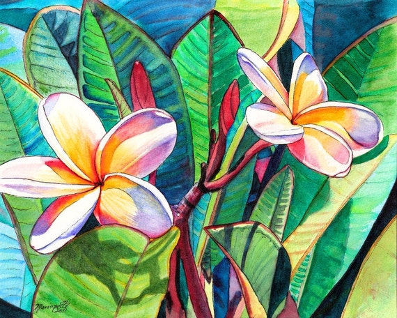 Kauai Plumeria Garden Print From Kauai Hawaii Plumerias Frangipani Aloha Flower Tropical Flowers