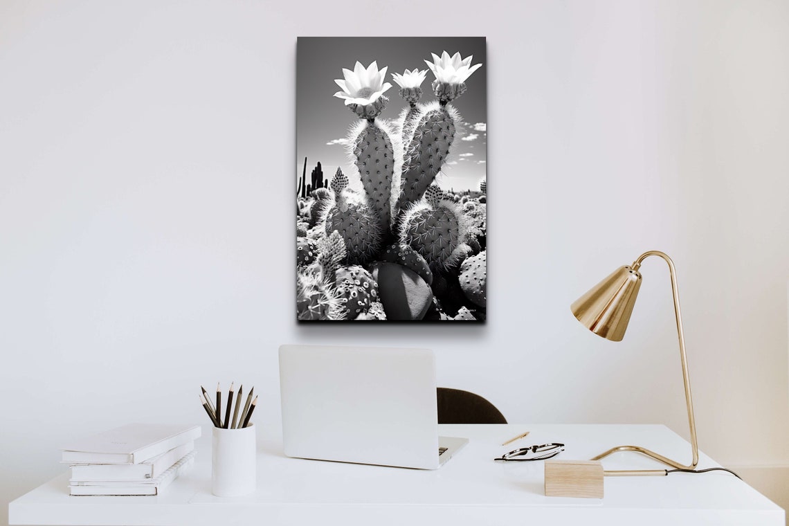 Black And White Flowering Cactus Desert Botanical Photo Poster - Image 5