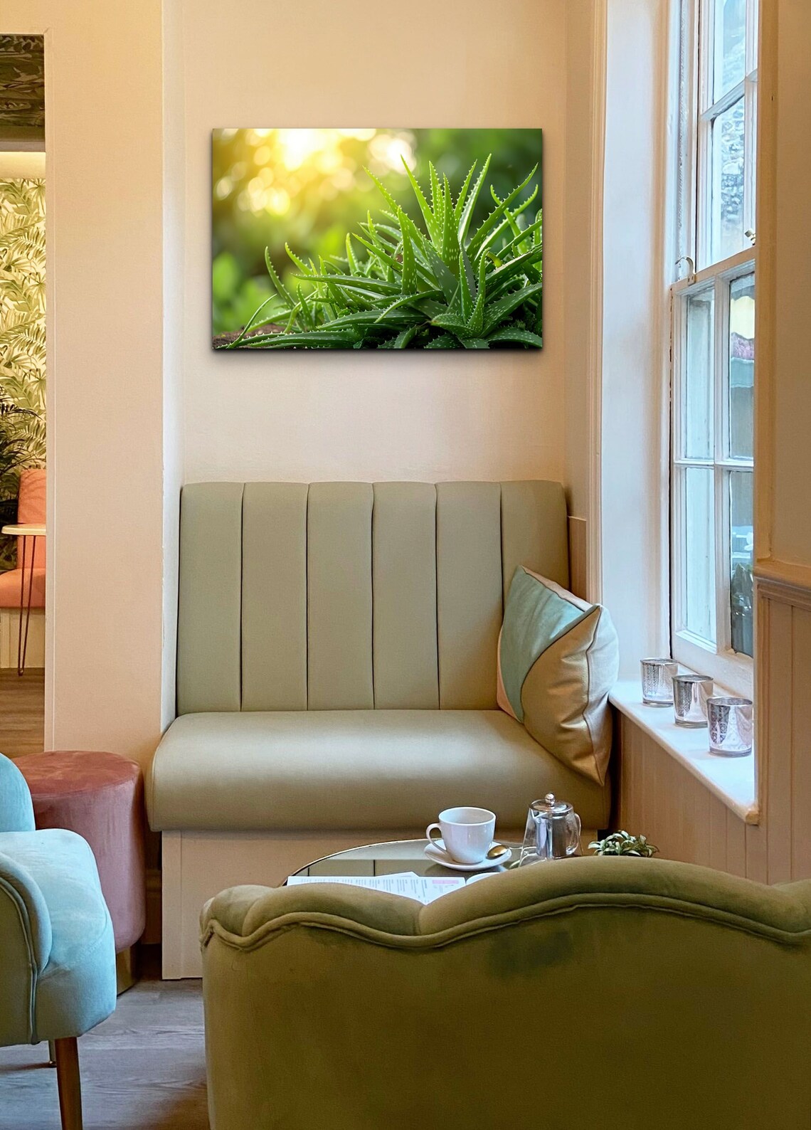 Aloe Vera Plant Sunlit Garden Green Botanical Photography Wall Art - Image 6