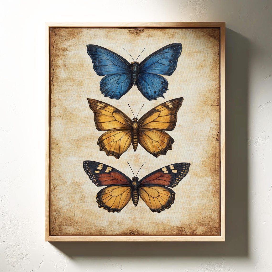 Antique Butterfly Trio Blue Golden Rustic Entomology Wall Art - Image 3