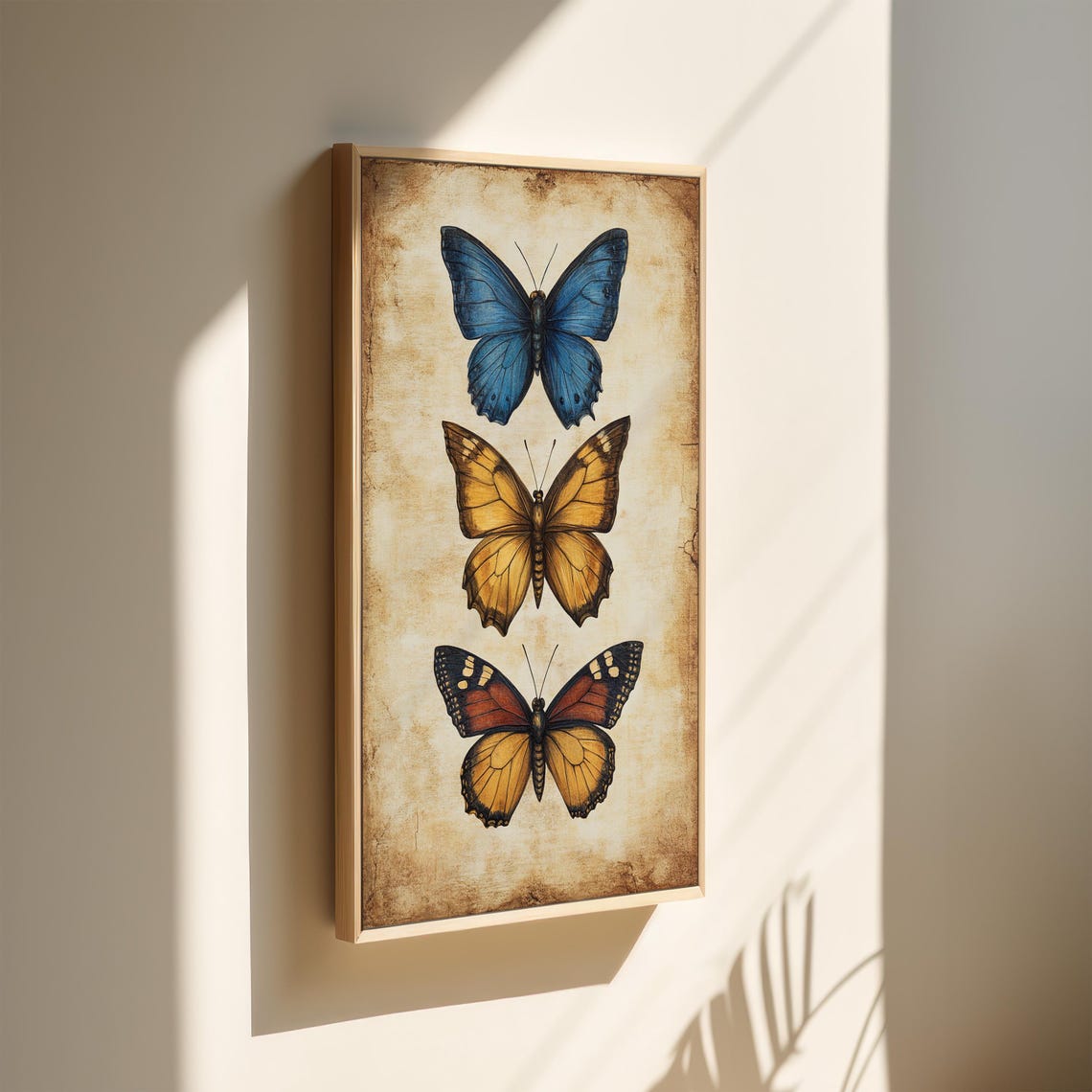 Antique Butterfly Trio Blue Golden Rustic Entomology Wall Art - Image 2