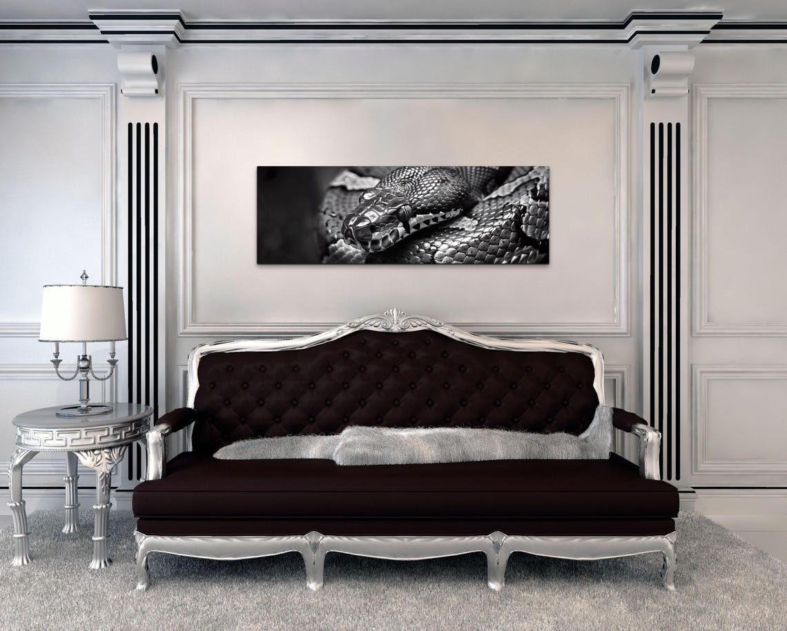 Black and White Snake Close Up Panoramic Reptile Photography Poster - Image 5