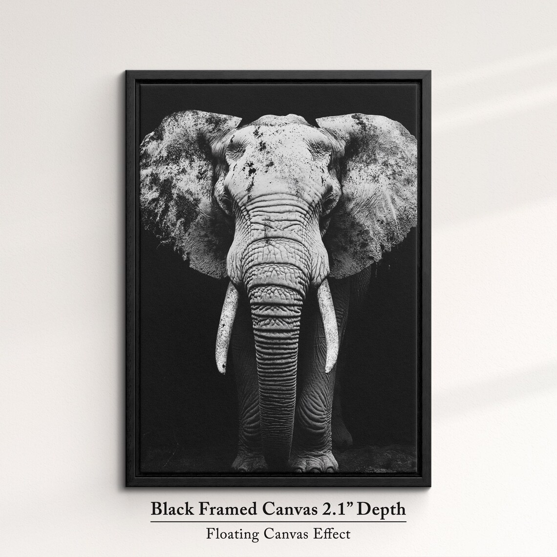 African Elephant Monochrome Black White Dramatic Tusker Portrait Poster - Image 2