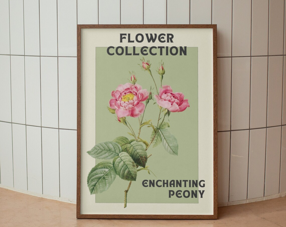 Flower Collection Enchanting Peony Vintage Botanical Decor Poster - Image 2