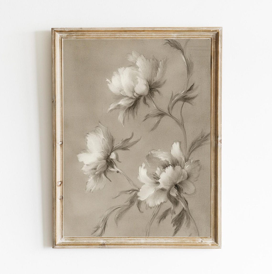 Soft Vintage Sepia Peony Botanical Sketch Floral Decor Wall Print