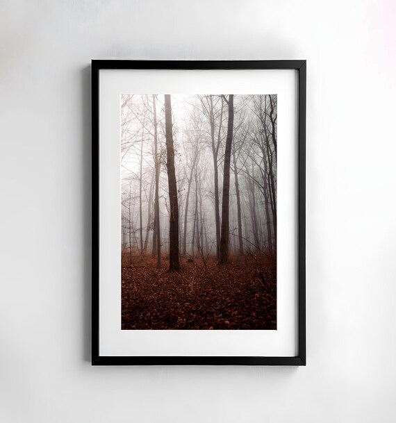 Serene Misty Foggy Autumn Forest Bare Trees Fog Fall Woods Poster