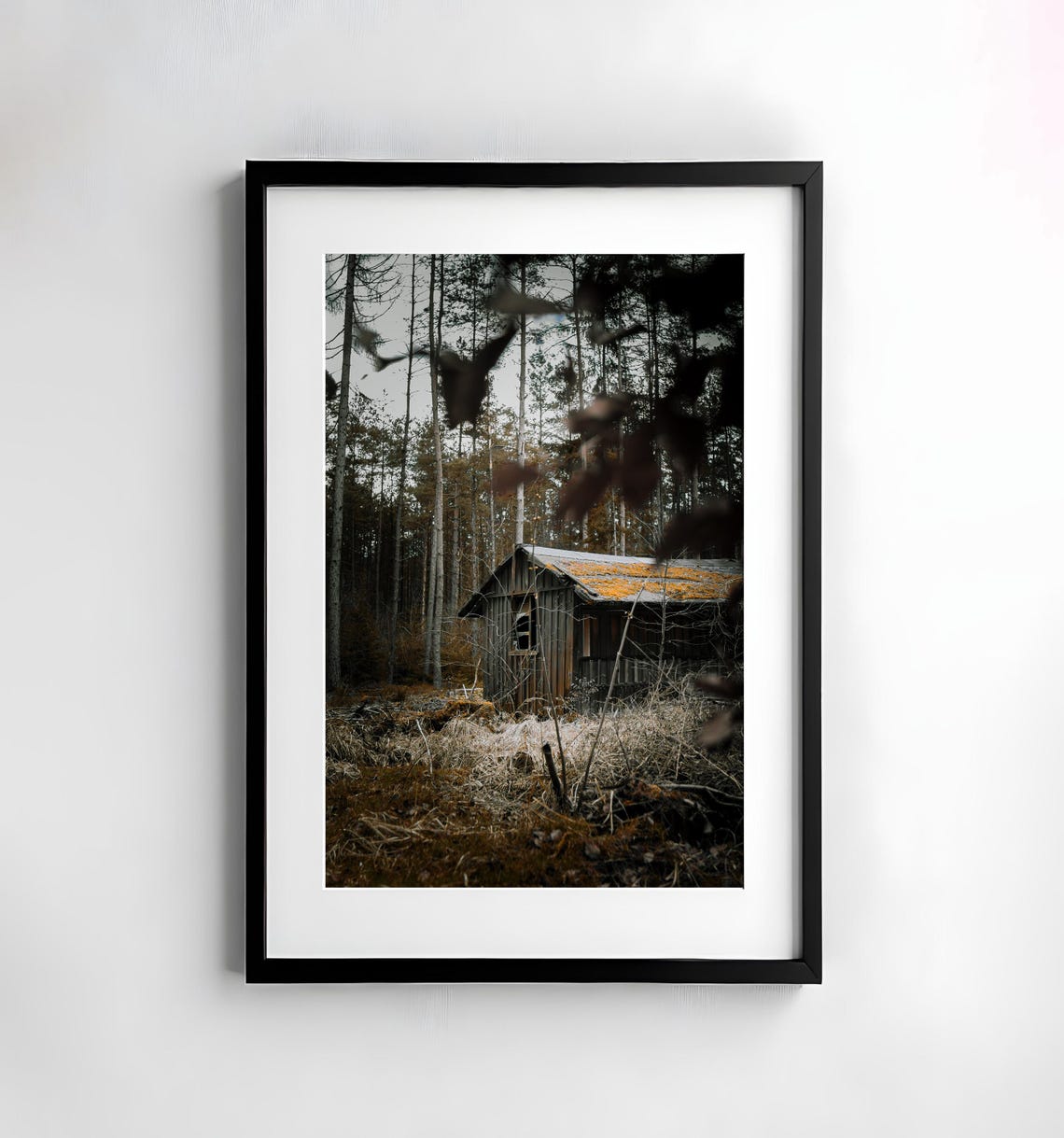 Abandoned Wooden Cabin Rustic Autumn Pine Forest Fall Poster