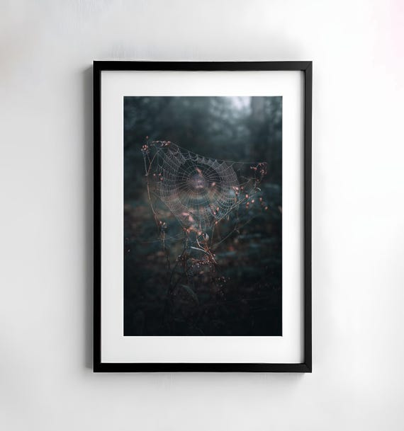 Spider Web Forest Photography Nature Wall Art Poster Print Macro Nature Photography Decor Art Wall Design Gloomy