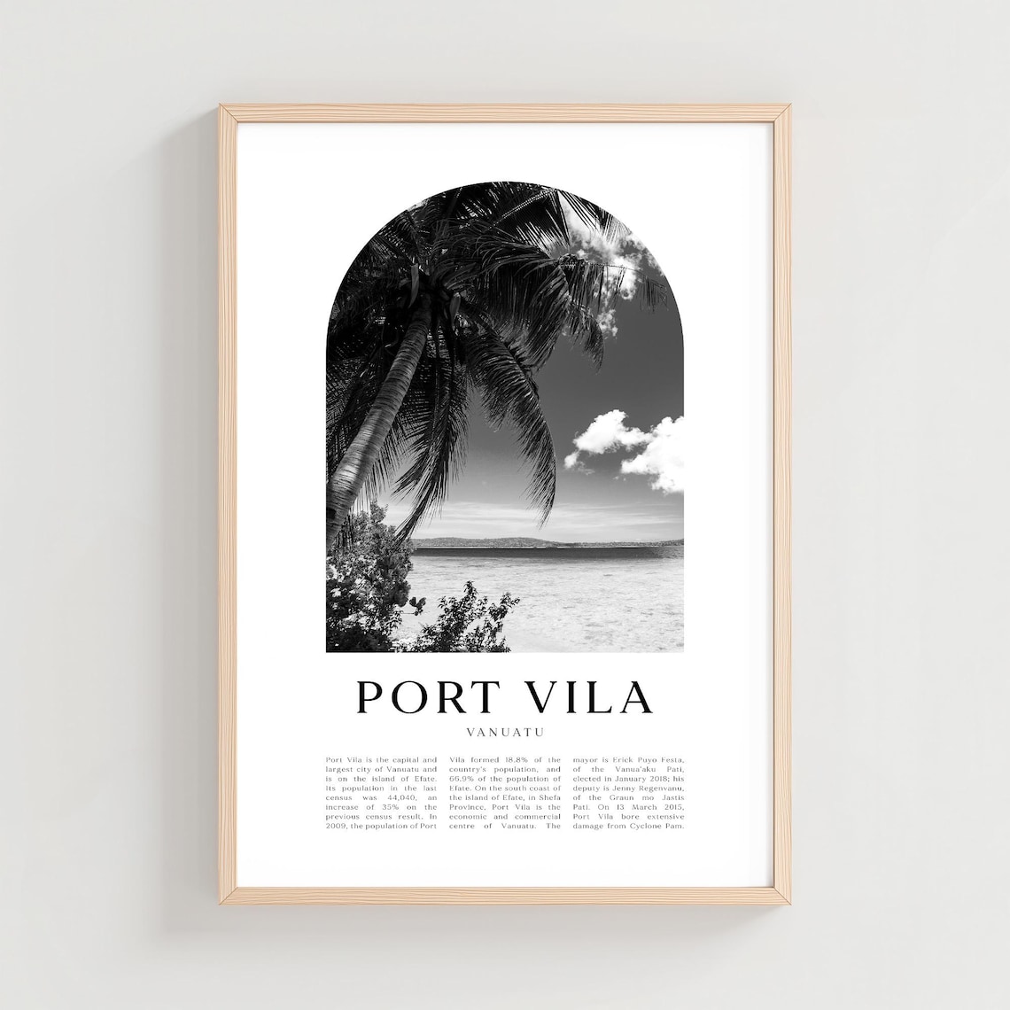 Port Vila Vanuatu Capital Palm Beach Monochrome Photo Poster