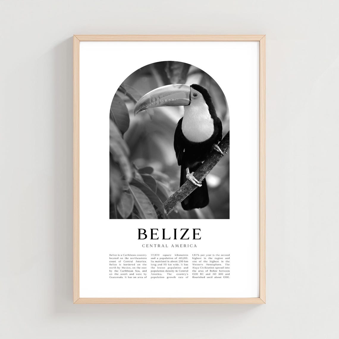 Belize Central America Toucan Black and White Wildlife Poster