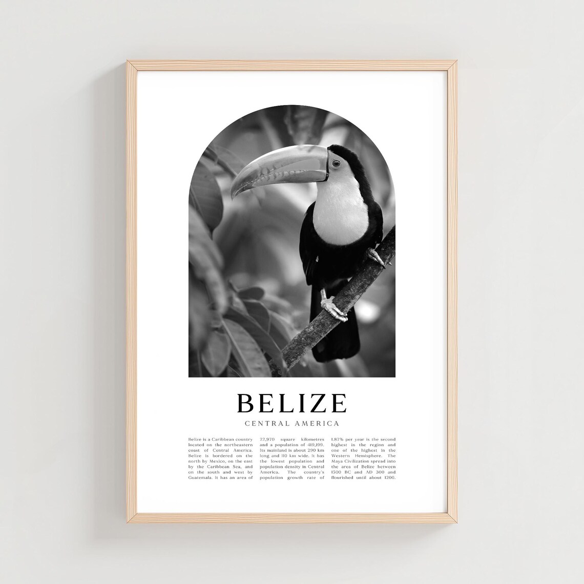 Belize Travel Poster Print Wall Art Central America City Gift Decor Ce01m
