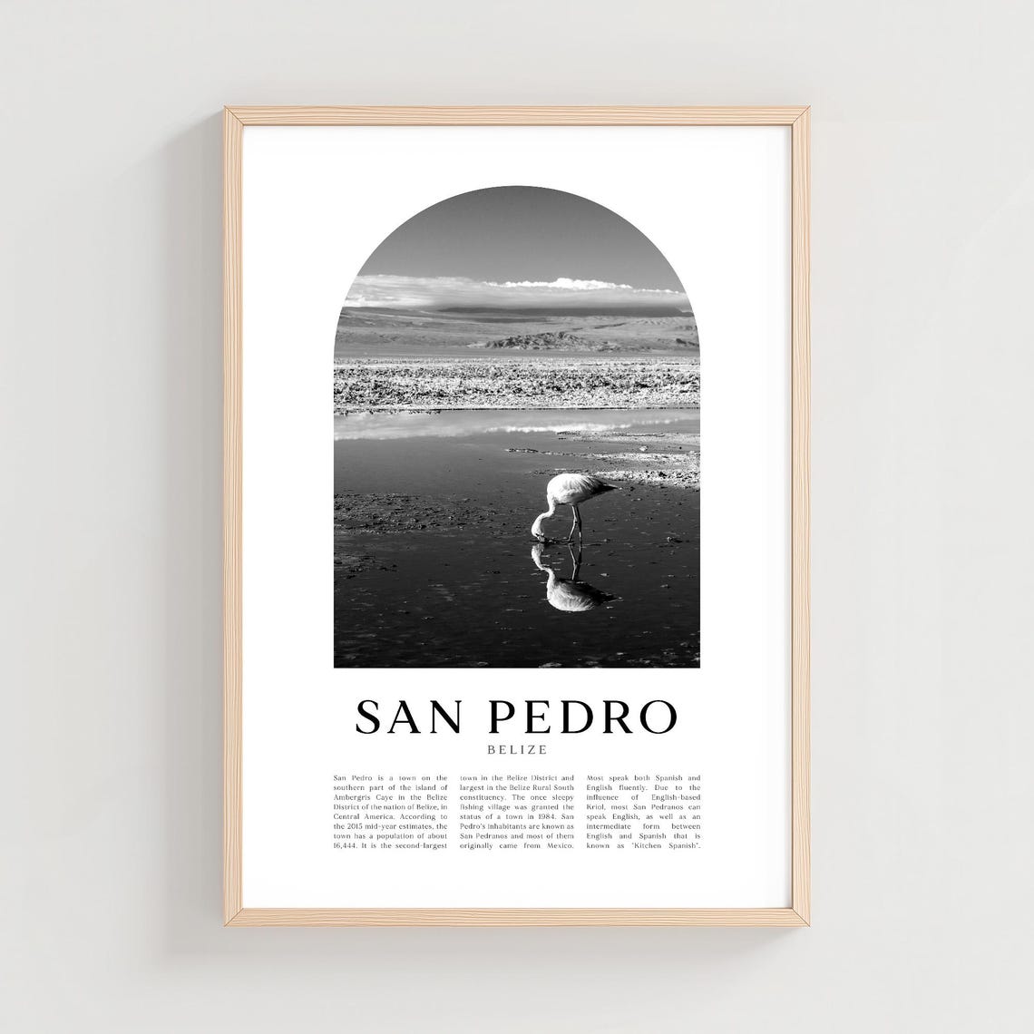 San Pedro Belize Flamingo Lagoon Reflection Monochrome Photo Print