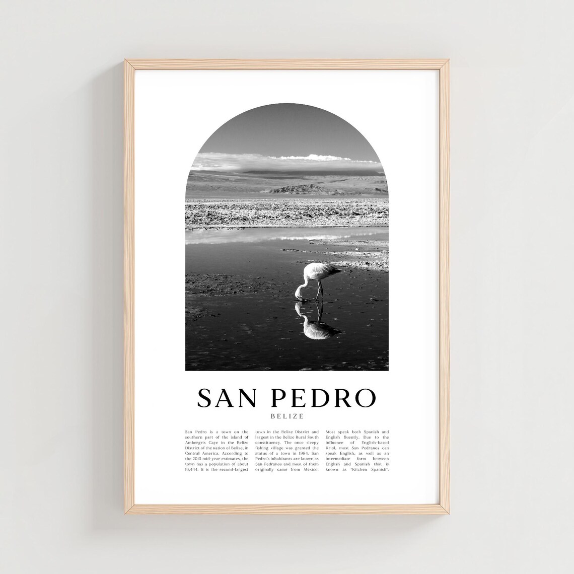 San Pedro Travel Poster Print Wall Art Belize City Gift Decor Ce34m