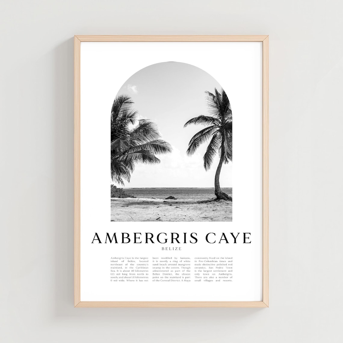 Ambergris Caye Belize Palm Beach Monochrome Travel Photo Poster