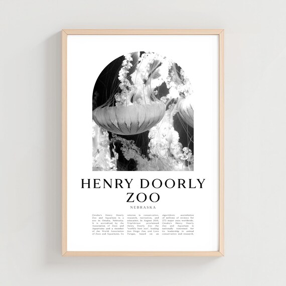 Henry Doorly Zoo Omaha Jellyfish Aquarium Black White Photo Poster