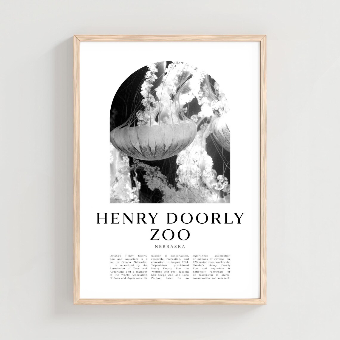 Henry Doorly Zoo Omaha Jellyfish Aquarium Black White Photo Poster
