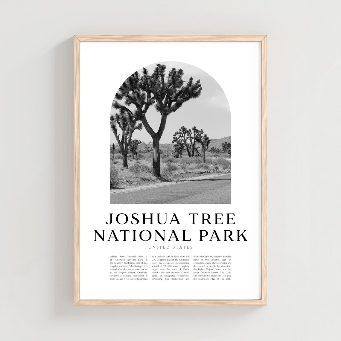 Joshua Tree National Park Black and White Desert Photo Poster