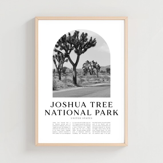 Joshua Tree National Park Black and White Desert Photo Poster