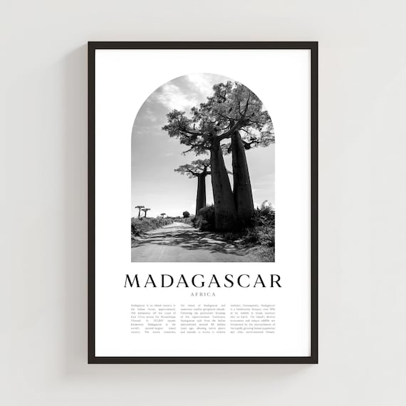 Madagascar Avenue of the Baobabs Black and White Arch Photo Art Poster