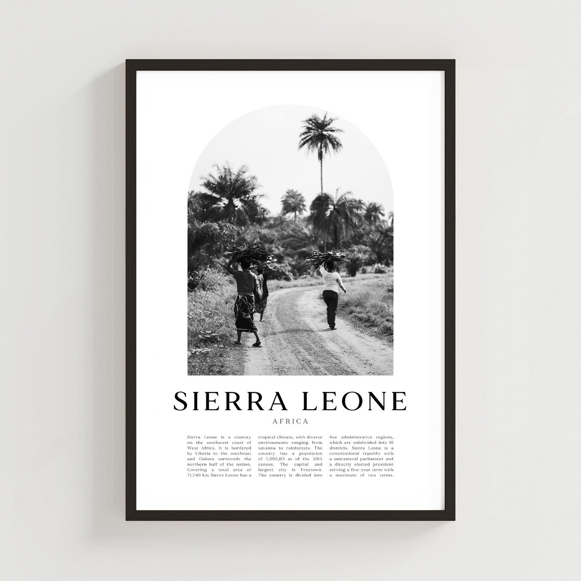 Sierra Leone Africa Black And White Palm Path Photograph Poster