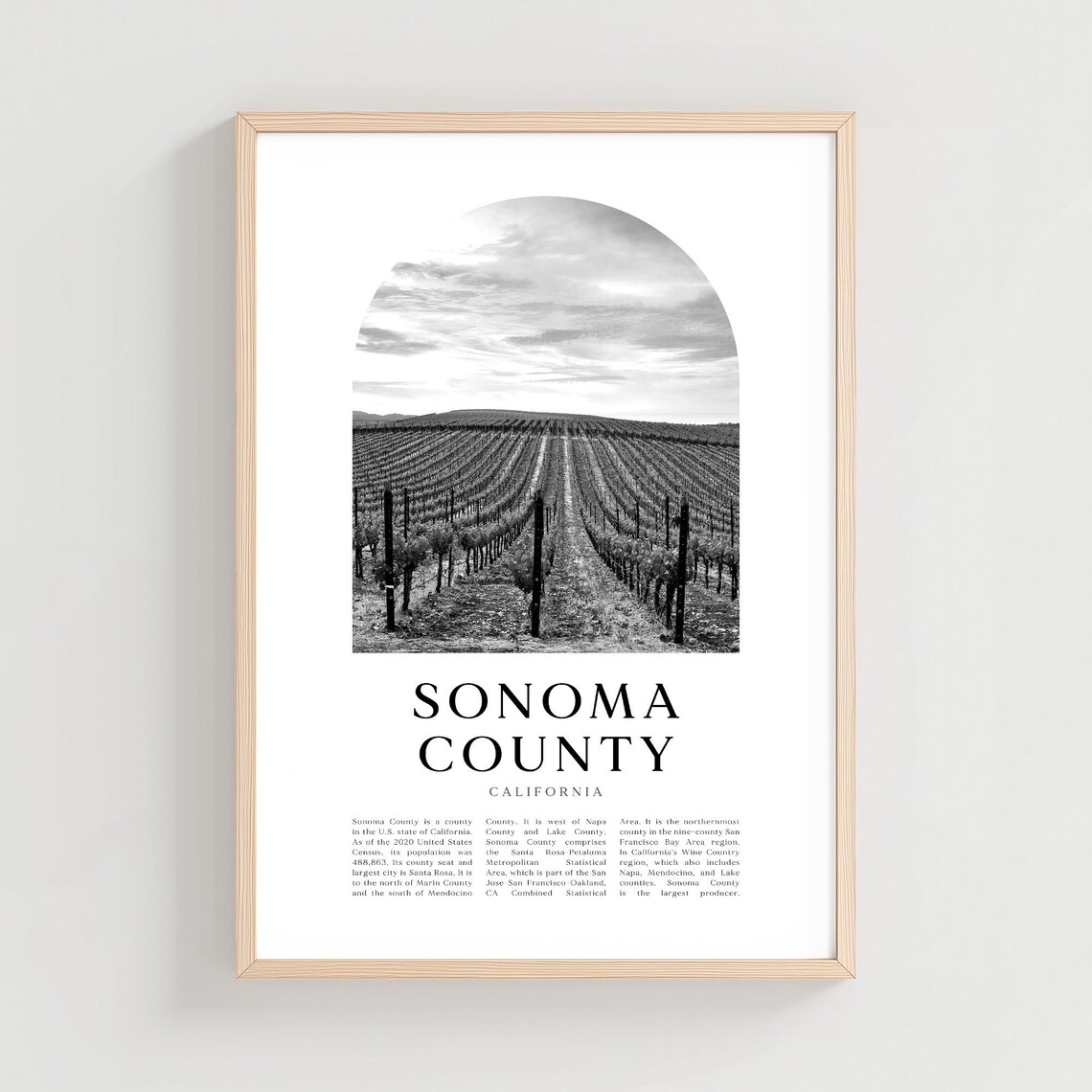 Sonoma County California Vineyard Rows Black White Photo Print