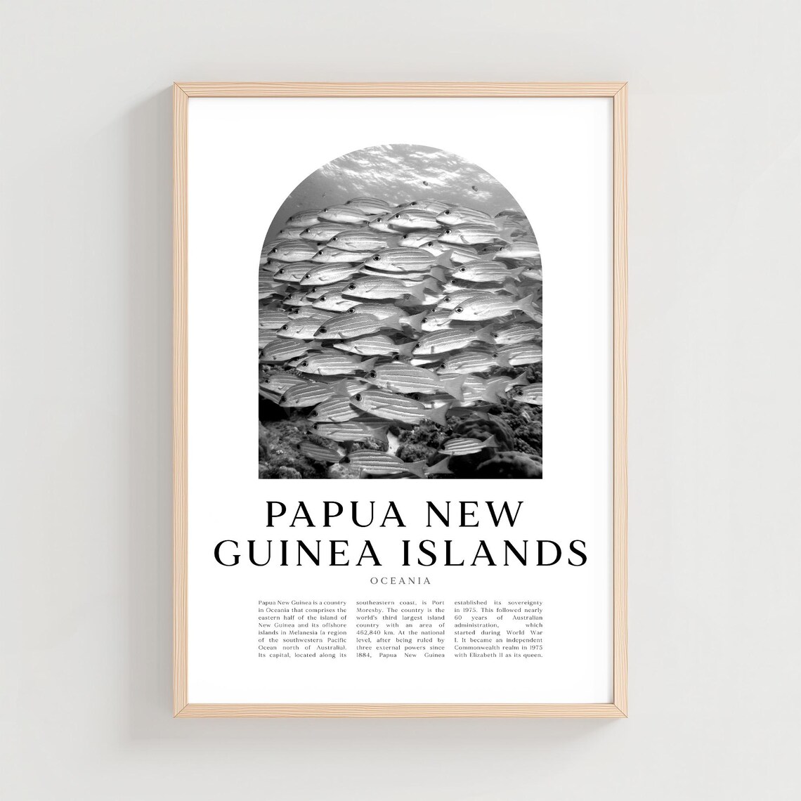 Papua New Guinea School of Fish Black and White Arch Photo Poster