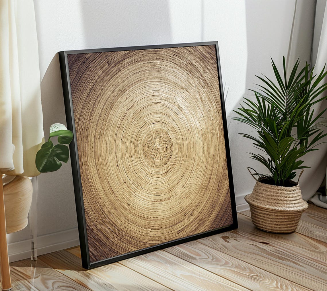 Golden Spiral Concentric Circles Minimalist Abstract Art Decor Poster