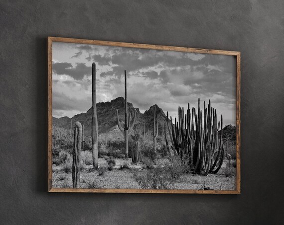 Black and White Saguaro Cactus Desert Photo Dramatic Sky Mountains Poster