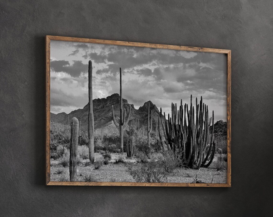 Black and White Saguaro Cactus Desert Photo Dramatic Sky Mountains Poster