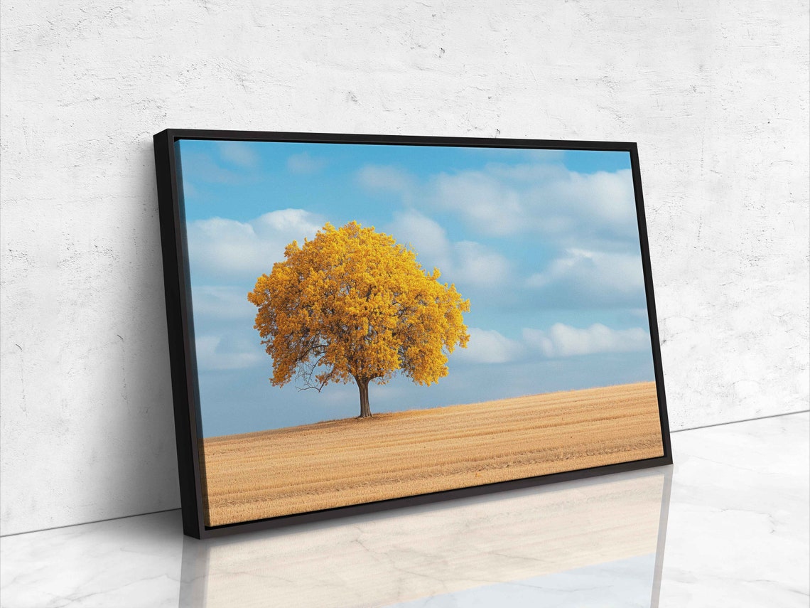 Lone Golden Tree Standing In Harvest Field Blue Sky Nature Poster - Image 4