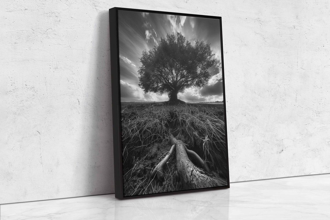 Lone Tree With Exposed Roots Black And White Field Dramatic Sky Poster - Image 4