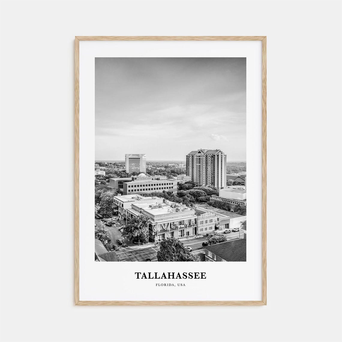 Tallahassee Florida Downtown Aerial Black And White Photo Poster
