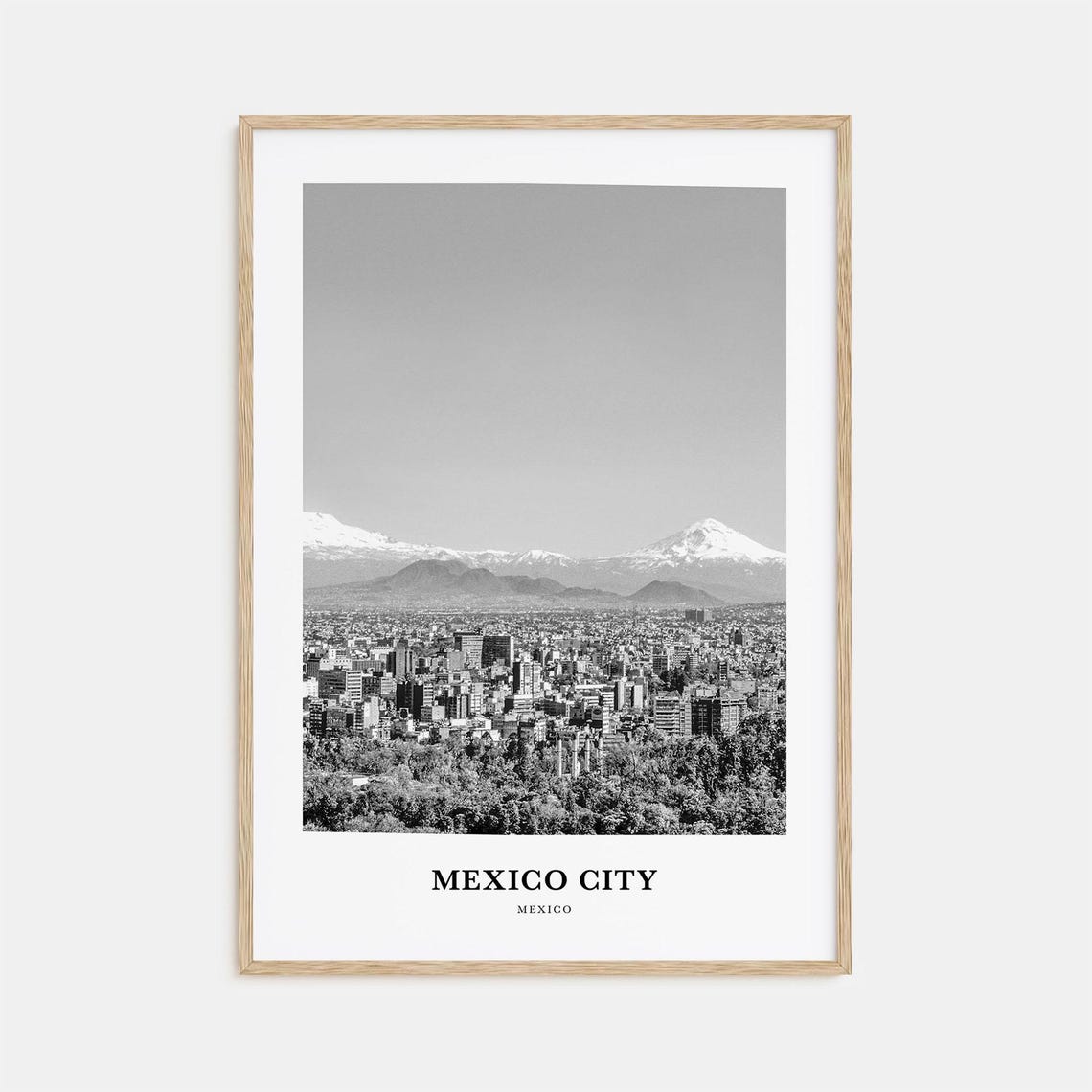 Mexico City Skyline Snowcapped Mountains Panoramic View Poster