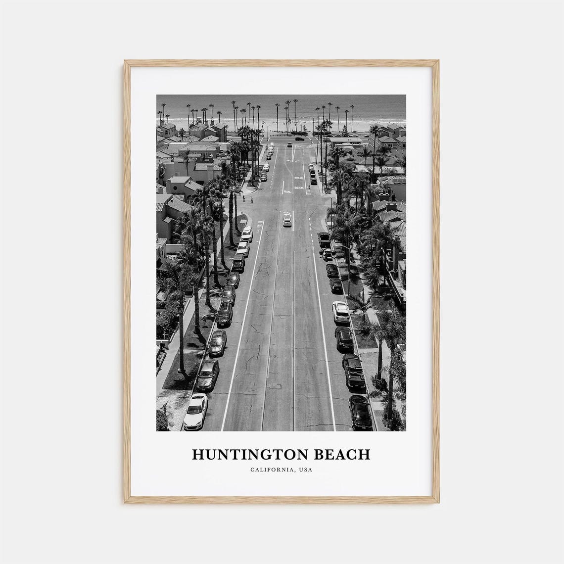 Huntington Beach Palm Lined Street California Black and White Poster