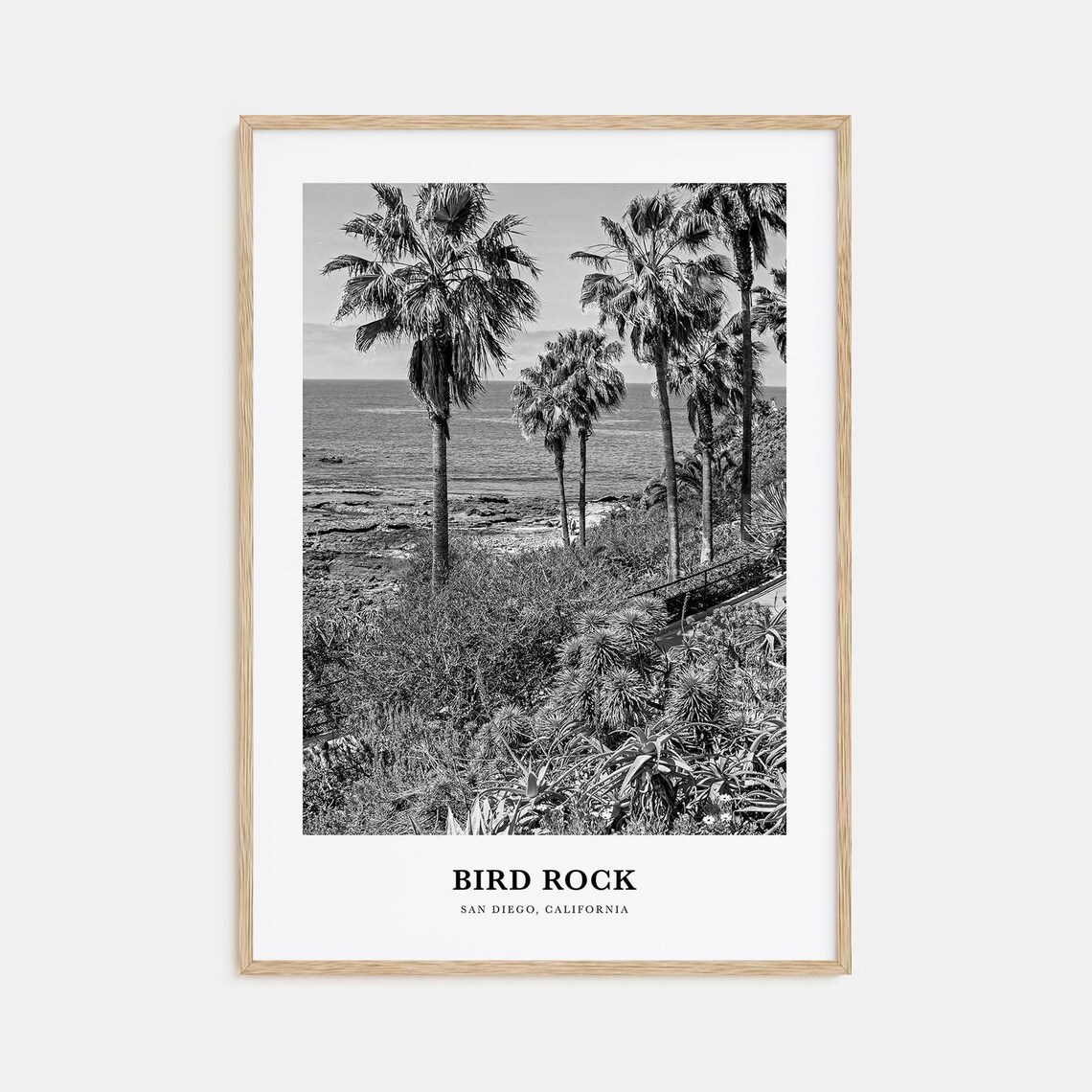 Bird Rock San Diego Palm Trees Ocean View Black and White Art Poster