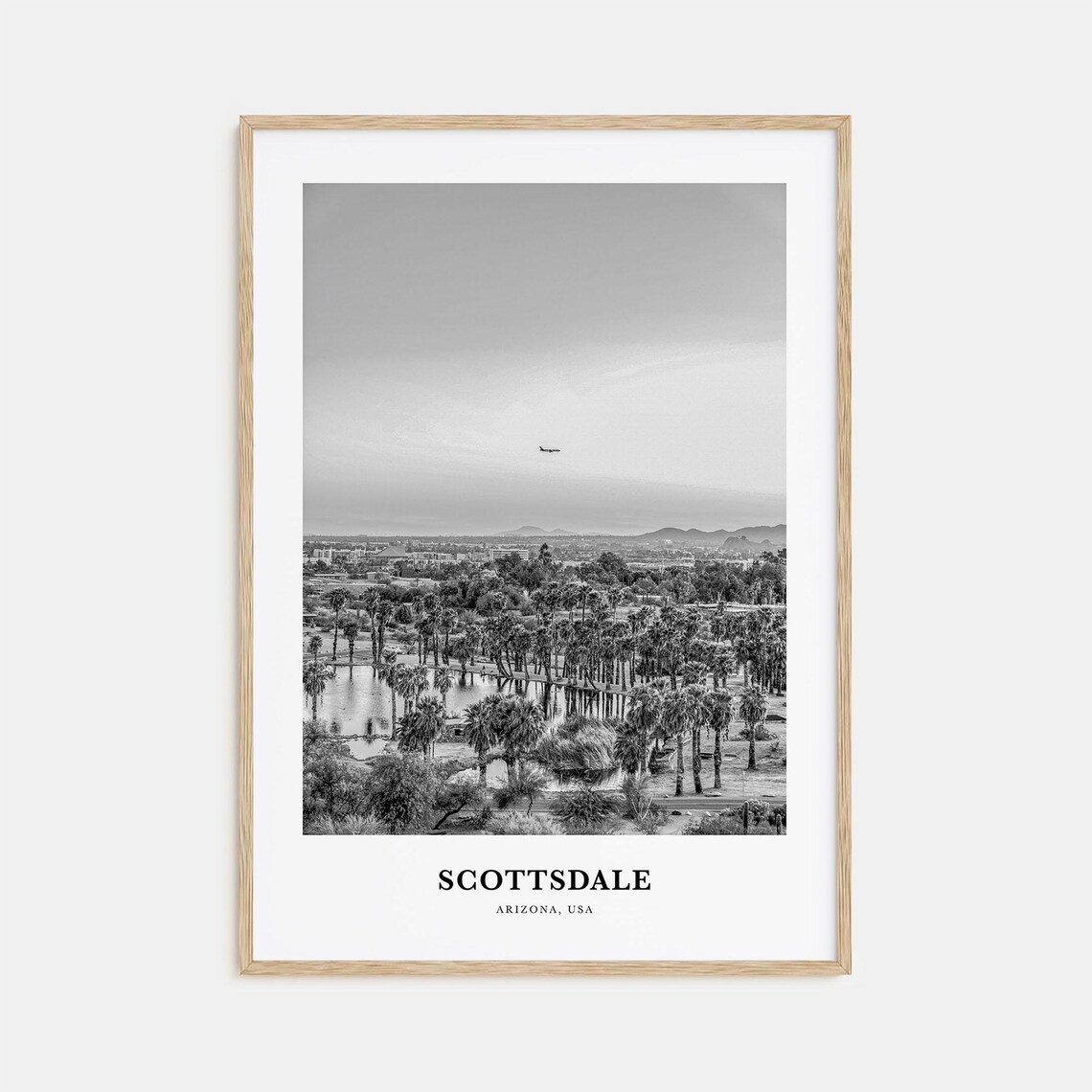 Scottsdale Arizona Palm Grove Lake Skyline Black White Travel Poster