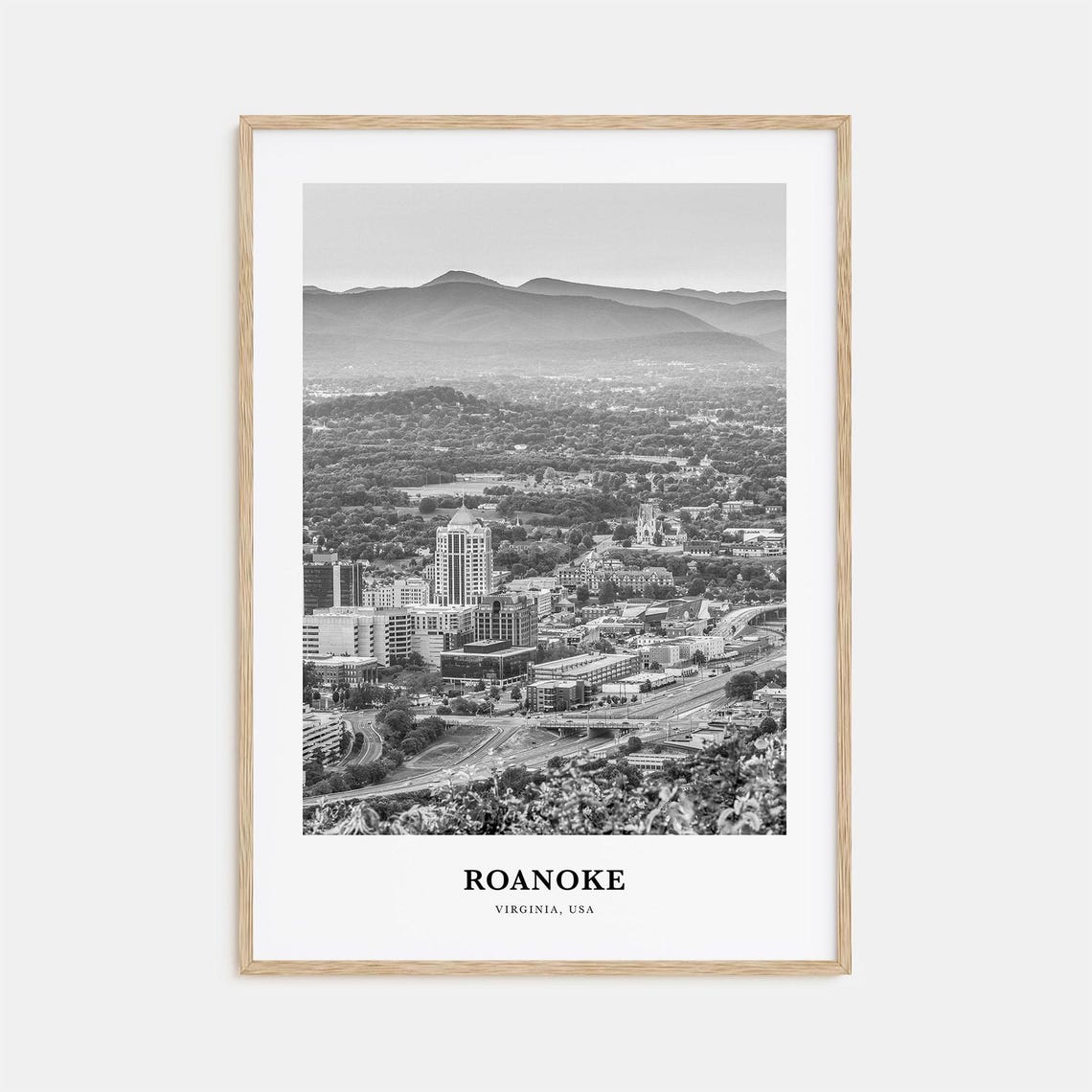 Roanoke Virginia Blue Ridge Mountains Skyline Black White Photo Poster