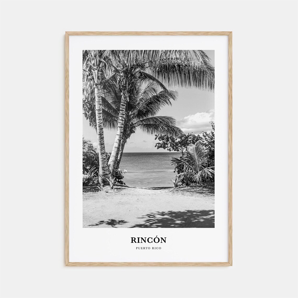 Rincon Puerto Rico Palm Trees Beach Black White Photo Poster
