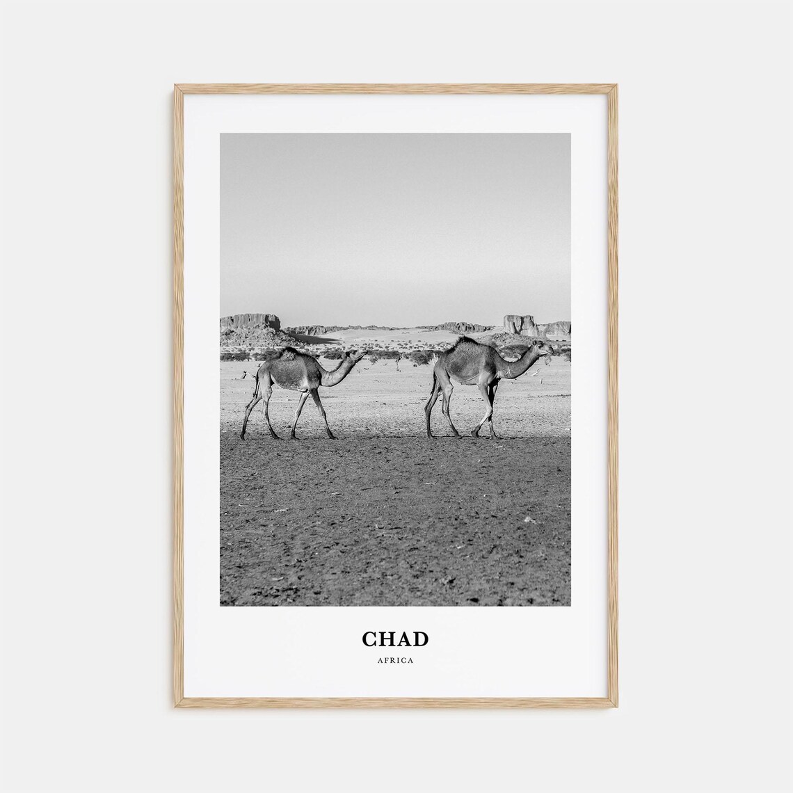 Chad Africa Camel Caravan Sahara Desert Black White Travel Poster